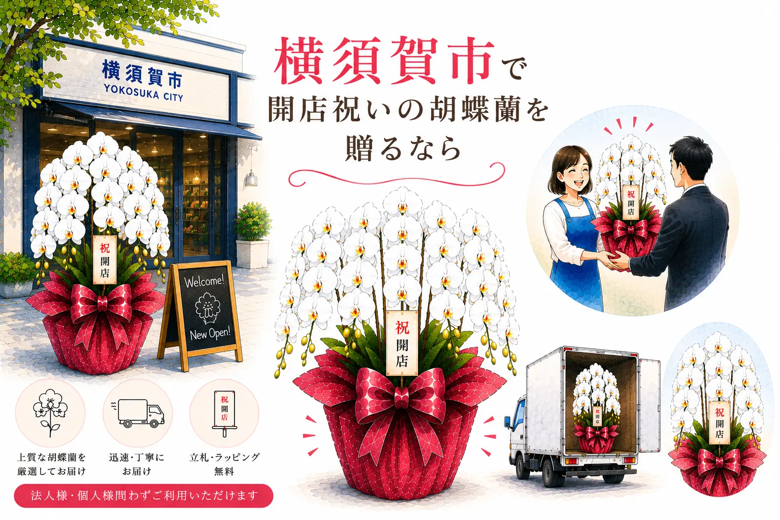 横須賀市の開店祝い胡蝶蘭